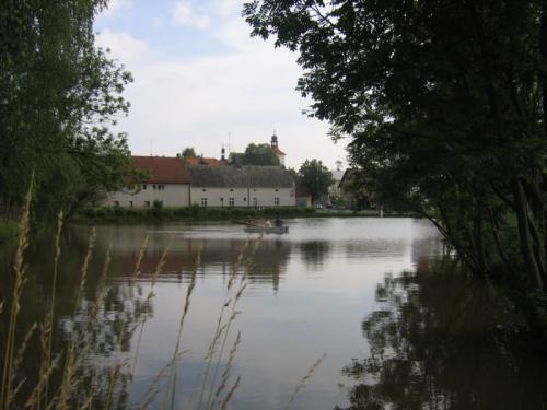 Lišanský rybník, červen 2009